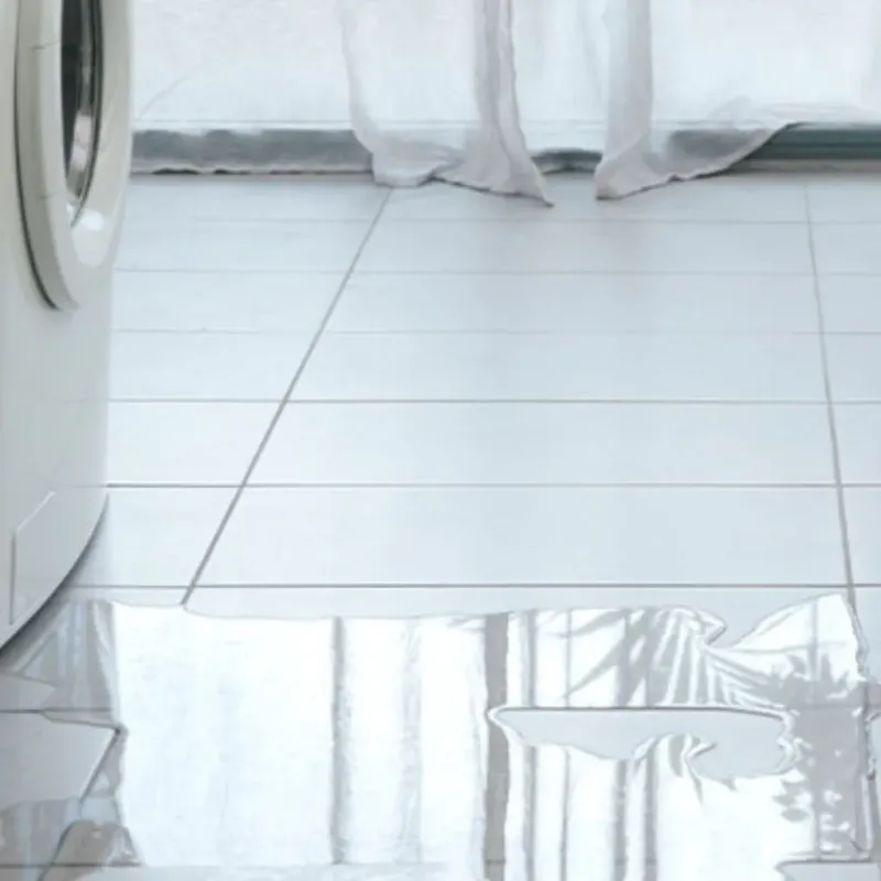 Appliance Leak Cleanup in Mercer County, MO