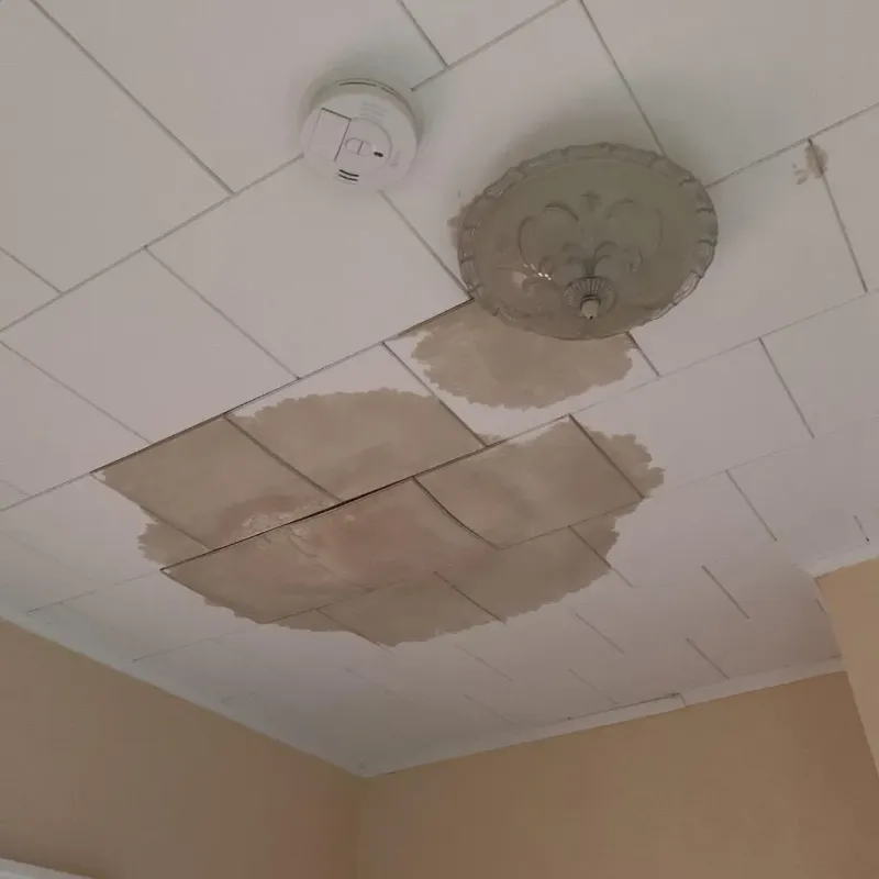 Ceiling Water Damage Repair in Mercer County, MO