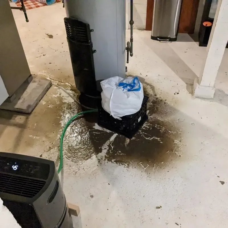 Sewage Backup Cleanup Service in Mercer County, MO